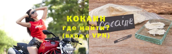 шишки Сосновоборск