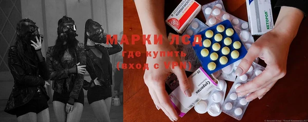 шишки Сосновоборск