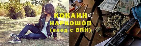 шишки Сосновоборск