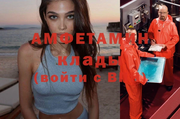 шишки Сосновоборск