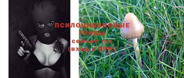 таблы Сосновка