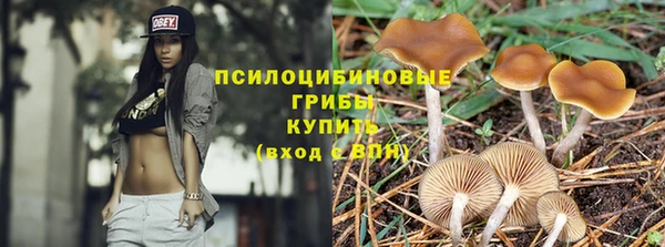 таблы Сосновка